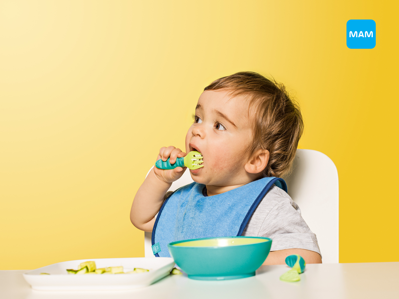 2025年生物多样性主题科学营在鹞落坪启幕