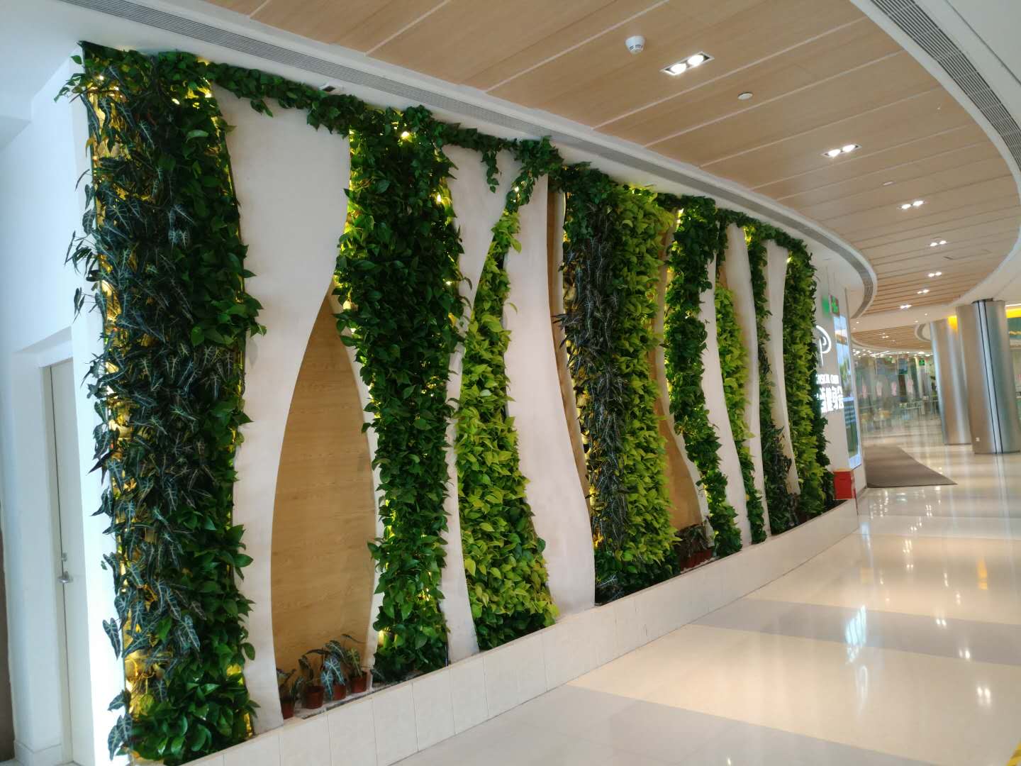 强生(JNJ.US)/艾伯维(ABBV.US)面临新挑战！礼来(LLY.US)BTK抑制剂成功在三期临床试验中达成主要目标