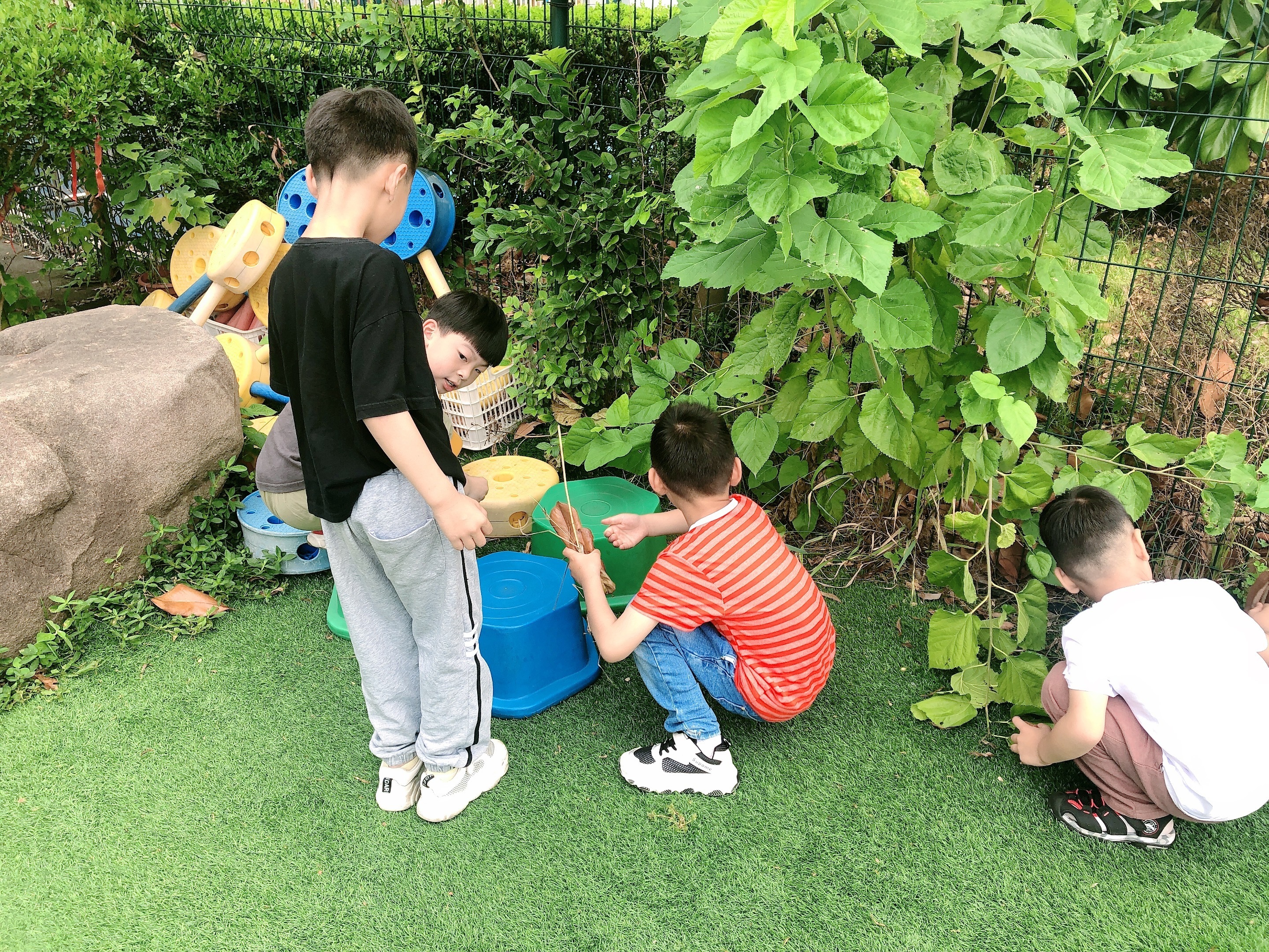 国家统计局：8月上旬生猪(外三元)价格环比下降1.4%