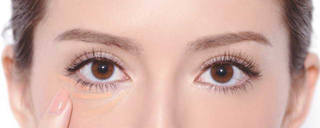 第一手报考信息！明天这场高招咨询会，教你填志愿