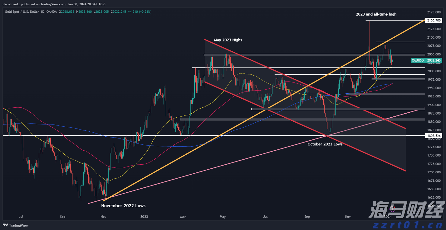 守护自然家园！云南野生亚洲象种群数量已增长到300多头