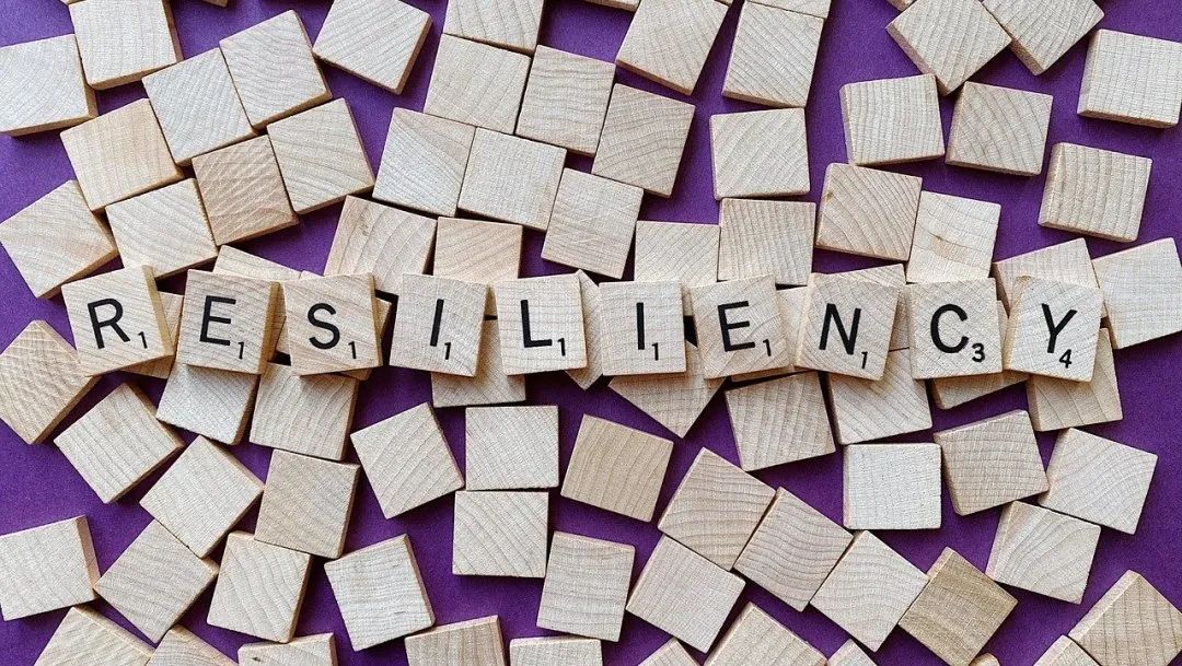 危险固废焚烧炉图片（危废焚烧炉生产厂家为你分享）