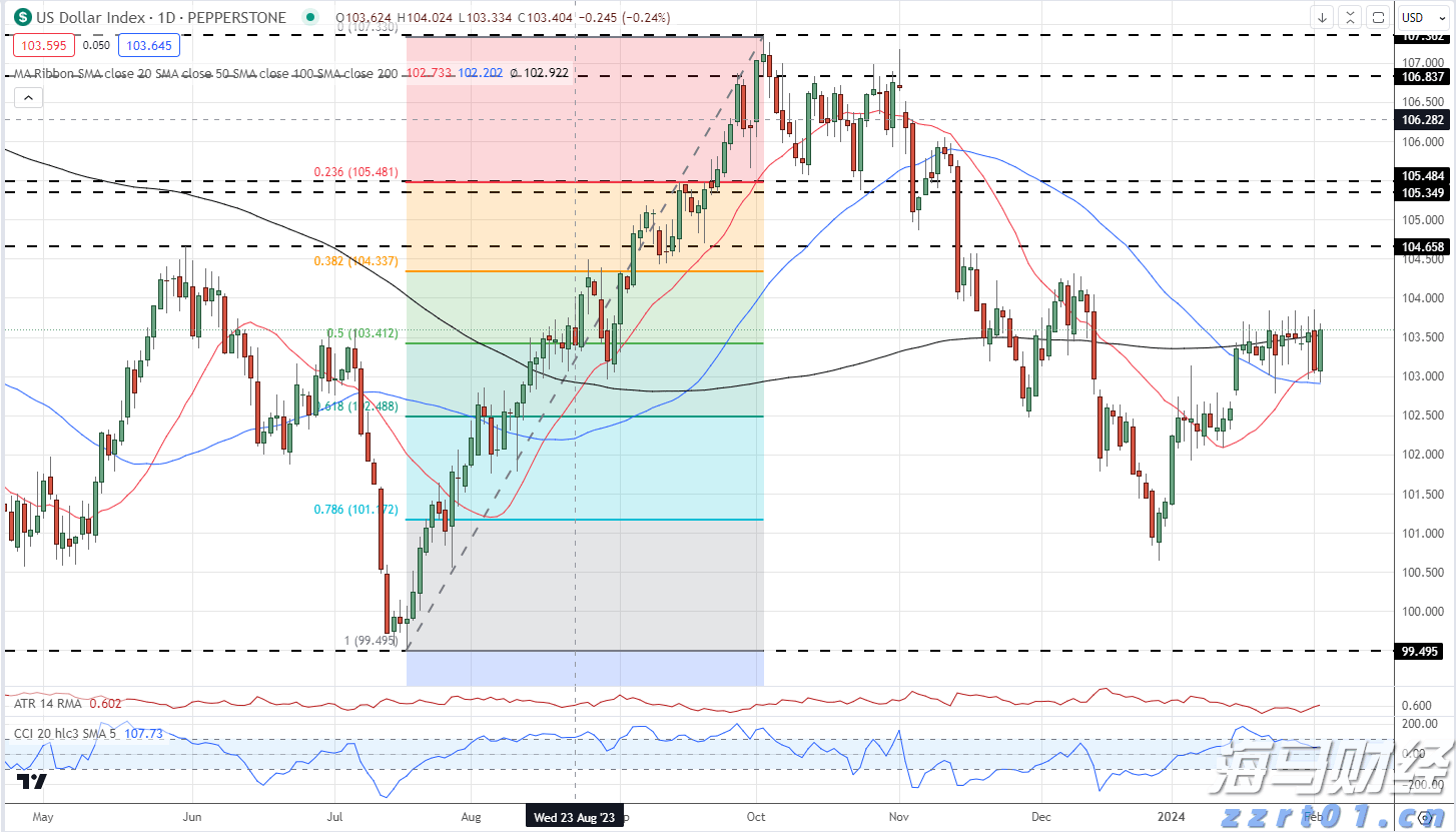 从馆内训练到赛场逆袭！梅州老爸带娃勇闯斯巴达