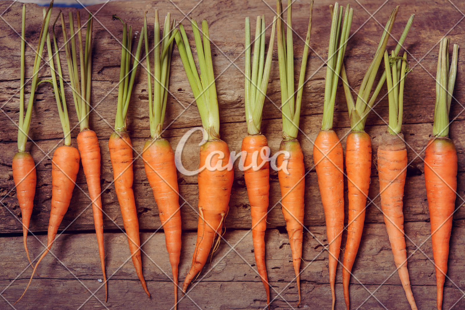 上海：他们，跟“大怪物”过年