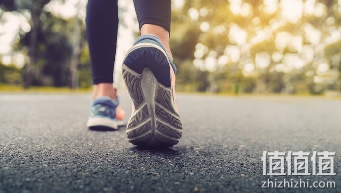 守护自然家园！云南野生亚洲象种群数量已增长到300多头