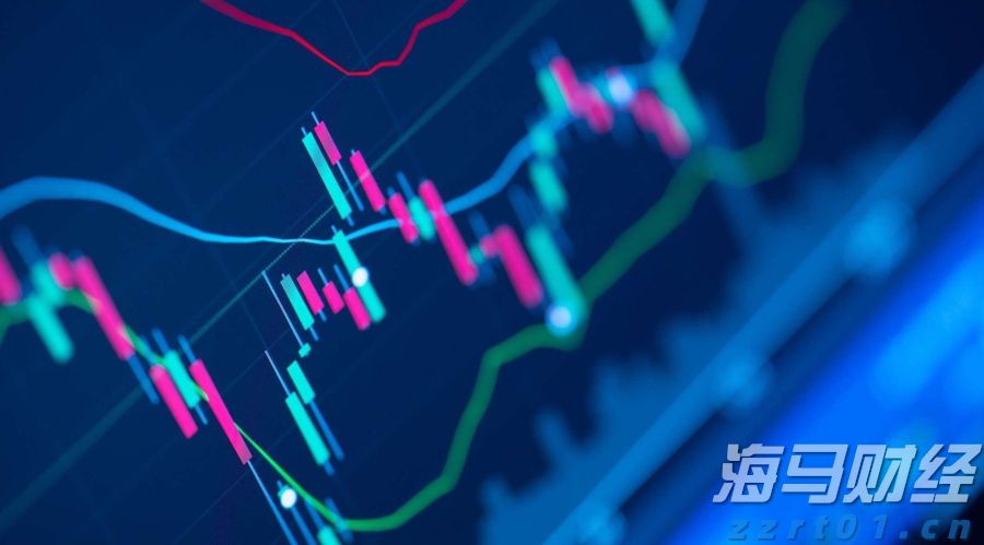 全区特殊教育学科中心组能力提升活动在我市举办