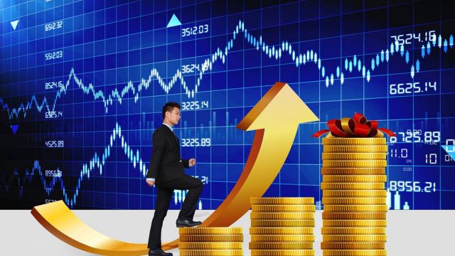 熊猫中心大熊猫生日季解锁国宝萌趣生活