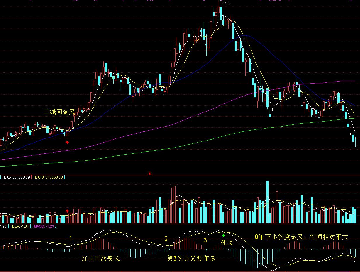 广东三宝：新会陈皮、阳春砂仁、化州橘红一盒珍藏