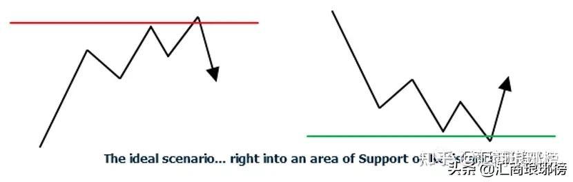 徐闻下洋镇与岭师星船突击队携手奋进“百千万工程”