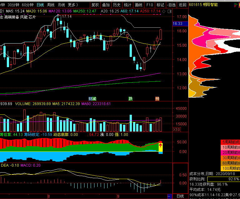 以“党建引领+群防群控”织密“防蚊网”