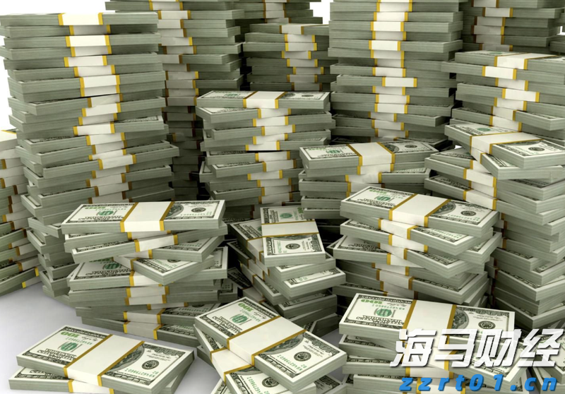 独立候选人纳夫罗茨基赢得波兰总统选举