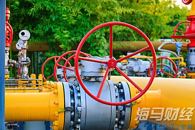 一小时高效喷药近百亩，合肥推广无人植保机助力油菜花丰产