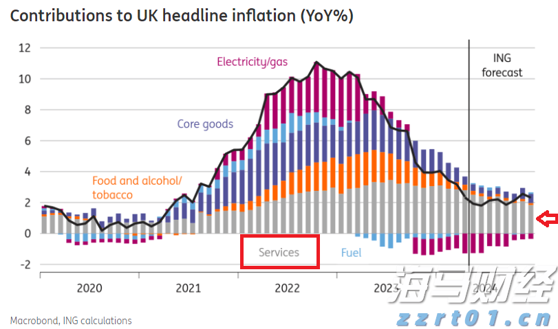广东出台保护鸟类工作方案 提出全面加强鸟类迁飞通道保护等六大任务