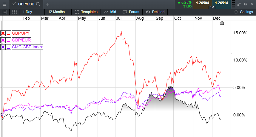 1600万尾鱼苗入海！珠海增殖放流守护“海上大熊猫”